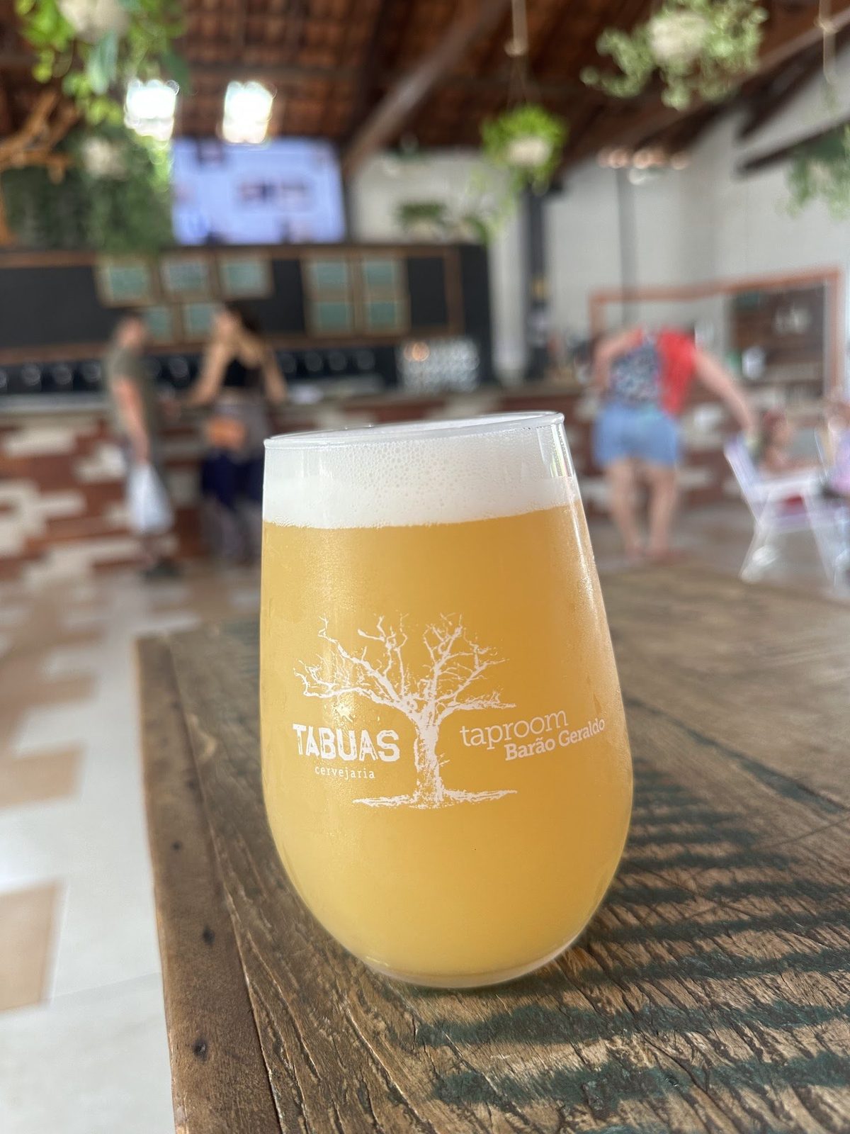 Cervejaria Tábuas — foto 6 da casa