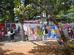 Festa do Boi Falô em Barão Geraldo, 2010.