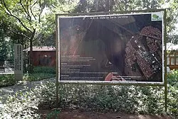 Entrada da ARIE Mata de Santa Genebra, 2014.