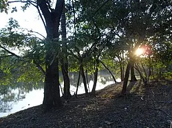 Margem da lagoa no Parque Ecológico Hermógenes Leitão Filho, 2011.
