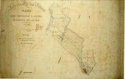 Planta dos terrenos da Fazenda Rio das Pedras a serem divididos em lotes.